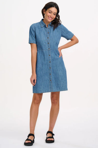 Talitha denim shirt dress